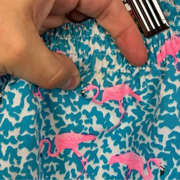 CHUBBIES THE DOMINGO’S ARE FOR FLAMINGOS SWIM SHORTS SWIMMING TRUNKS SMALL - Picture 4 of 11